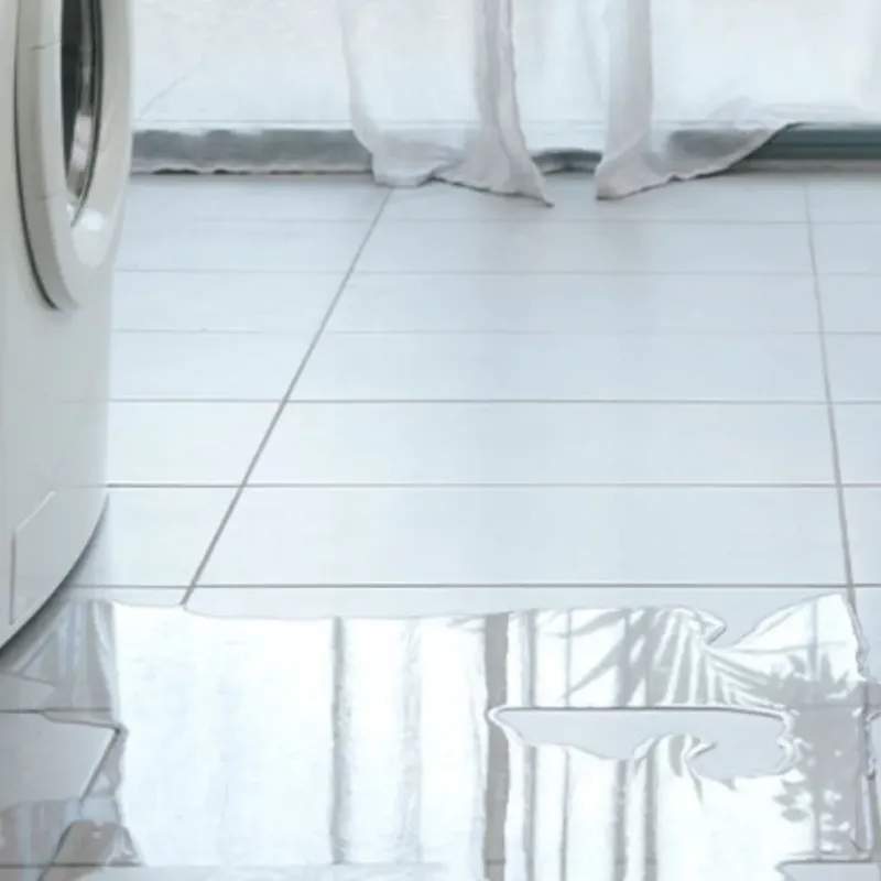 Appliance Leak Cleanup in Palmyra, WI