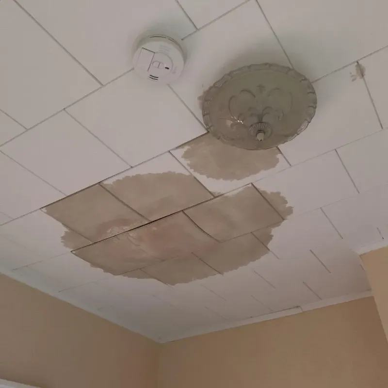 Ceiling Water Damage Repair in Palmyra, WI