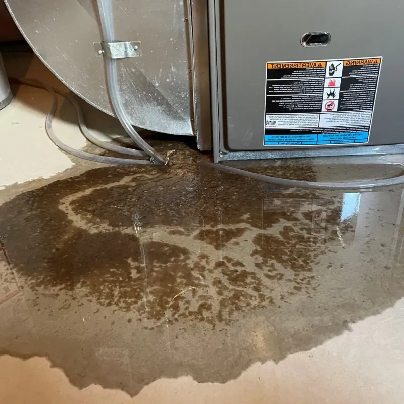Pipe Burst and Leak Restoration in Palmyra, WI